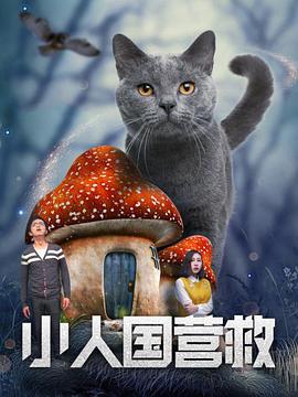 mtv和mv有区别吗