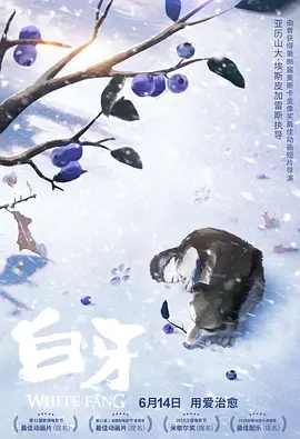 亚洲视频在线观