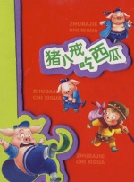 久久久久9999亚洲精品